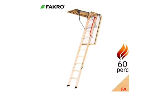 FAKRO LWF 60.jpg