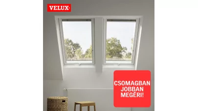 VELUX GLU B DUO.jpg