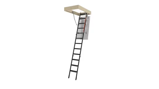 FAKRO GREENSTEP LMK.jpg
