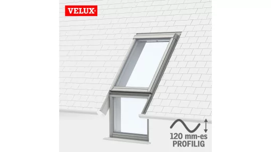 VELUX EFW 0012.jpg